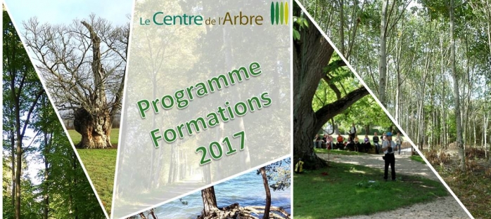 http://www.cabinetforestier-riboulet.com/le-centre-de-l-arbre-formation